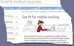 BT's 'Insight BT' web pages - click to go to site