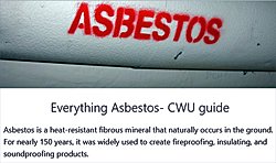 image: Everything Asbestos CWU Guide - click to download