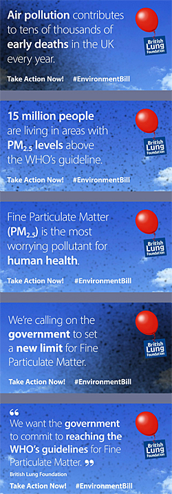 Pic: Air Pollution - click to take action and email your MP