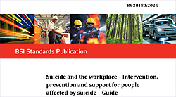 BS 30480 Suicide and the Workplace document