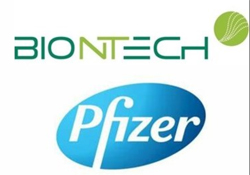 Pic: BioNTech and Pfizer logos