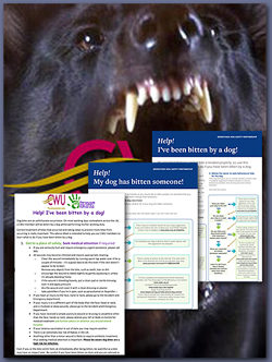 Pic: Dog bites leaflets - click to download