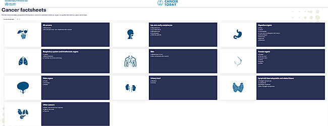 image: Cancer Factsheets - click to go to WHO website