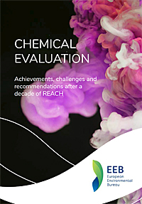 Pic: Chemical evaluation report cover