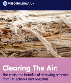 image: Asbestoss Report