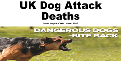 image: Dog Attack Deaths stats