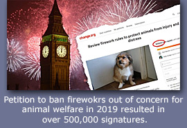 Image: Fireworks ban petition