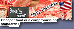 image: Cheap US Beef risks UK public health? - click to go to website