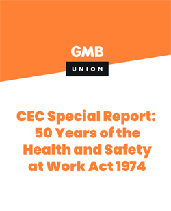 image: GMB Report - click to download from the E-Library