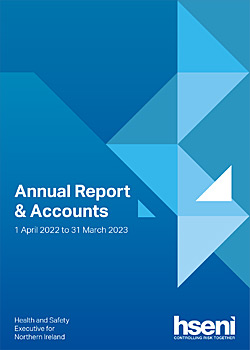image: Anual REport HSENI cover