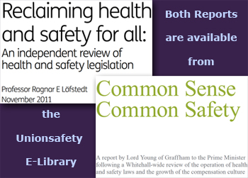 image: Tory H&S Reports - click to go to the E-library