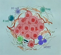 image: Mesothelioma cell