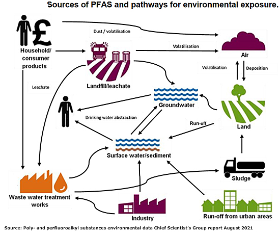 Image: PFA Environmental pathway graphic - click to download report.
