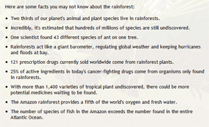 Pic: Rainforest facts