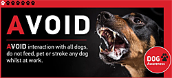 Image: AVOID dangerous dogs slides