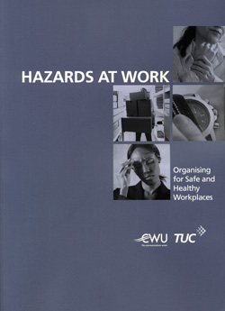 Hazards at Work Book