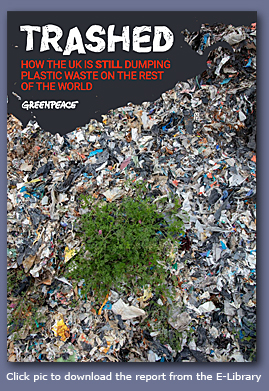 image: Trashed Report - click to download