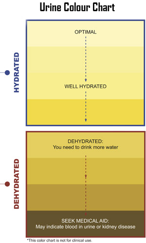 Pic: Urine Colour Chart - click to download and print out.